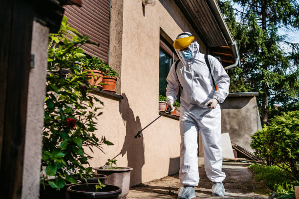 Best Pest Inspection Near Me  in Ashaway, RI