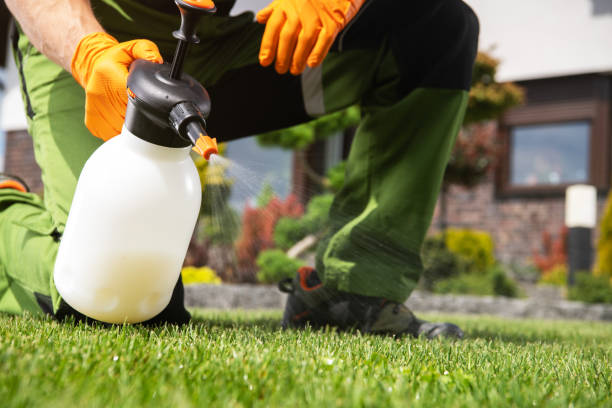 Best Mosquito Control Services  in Ashaway, RI