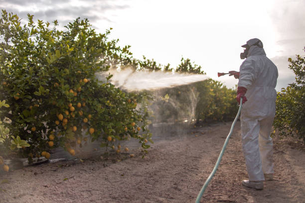 Pest Control Cost in Ashaway, RI