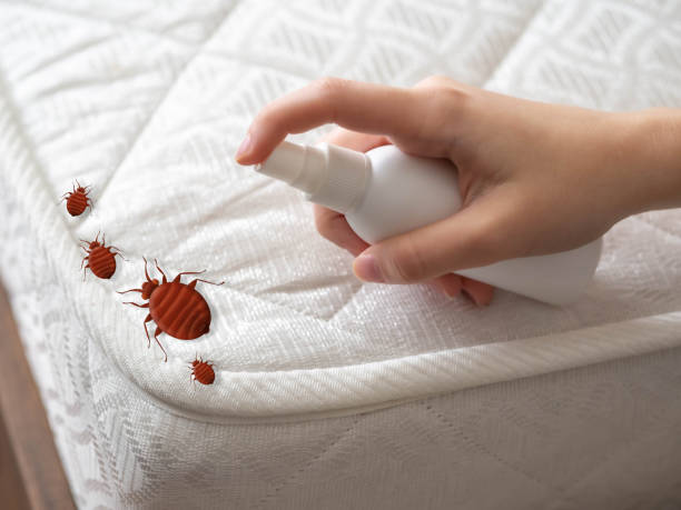 Best Pest Prevention Services  in Ashaway, RI
