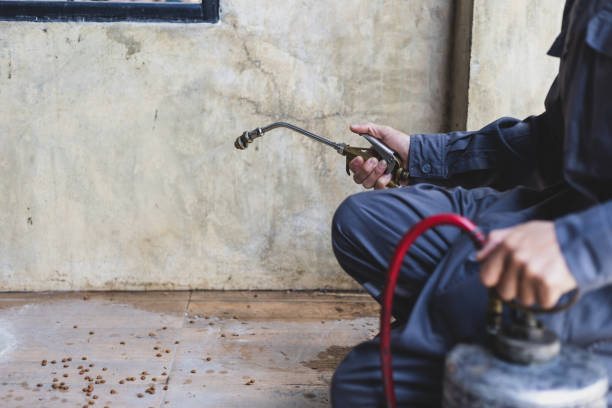 Best Affordable Pest Control Services  in Ashaway, RI